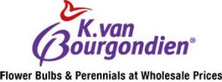 k. van bourgondien & sons