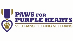 paws for purple hearts